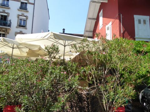 Restaurant La Maison Rouge, Carouge